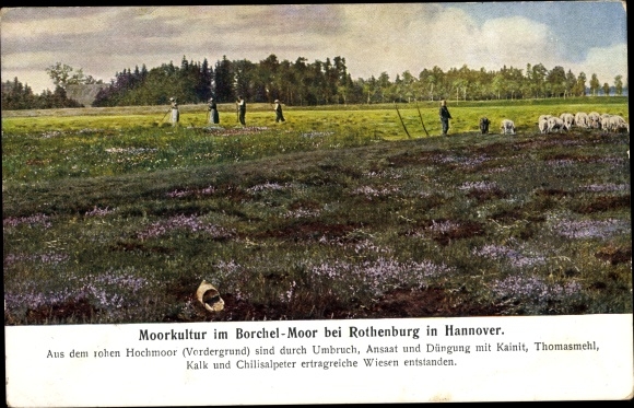 Postcard Rotenburg an der Wümme, moor culture in Borchel Moor