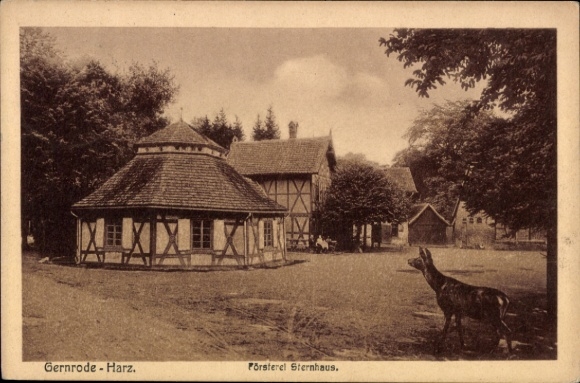 Ak Gernrode Quedlinburg in het Harzgebergte, Gernrode in het Harzgebergte, Försterel Sternhaus, landelijk landschap, geit