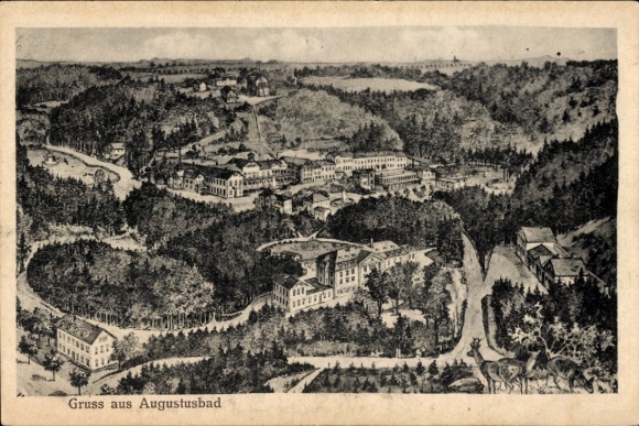 Postcard Augustusbad Radeberg in Saxony, view of forest landscape, buildings,