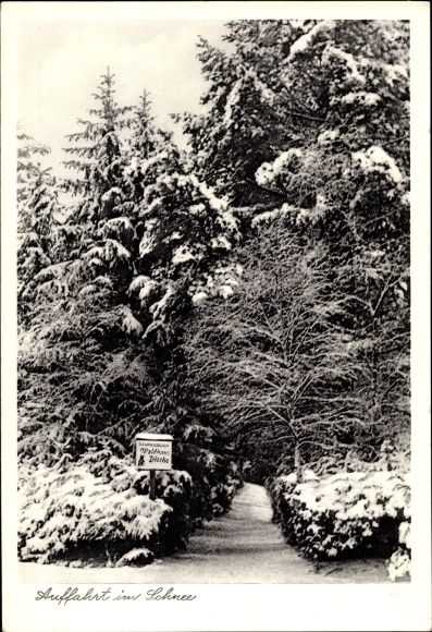 Postcard Hanstedt Lower Saxony, driveway to the forest house Dierke in winter