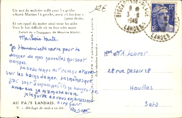 Postcard Wald, Attelage de mules en ete