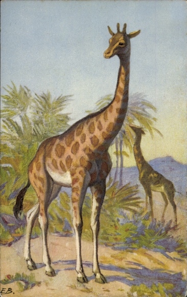 Artist Postcard African wildlife, fauna, giraffes