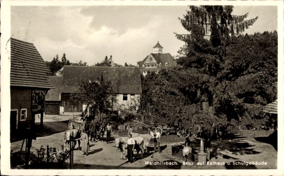 Ak Waldhilsbach Neckargemünd in Baden Württemberg, Rathaus und Schulgebäude
