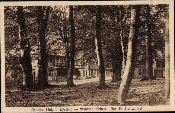 Postcard Eystrup Drübber Holz Lower Saxony, Waldschlößchen, owned by Fr. Hellwinkel