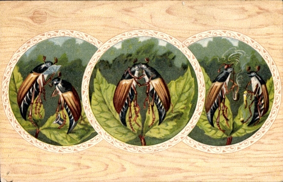 Passepartout Postcard Maikäferpaar