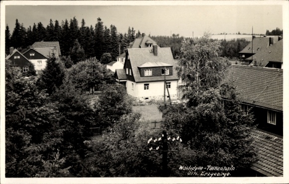 Ak Falkenhain Altenberg im Erzgebirge, Waldidylle, Häuser