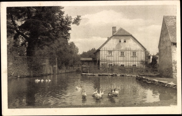 Ansichtkaart Pliesskowitz Malschwitz in Saksen, molen, waterspel met ganzen