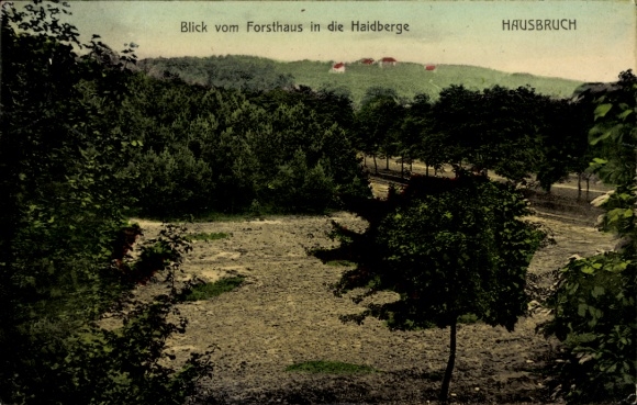 Postcard Hamburg Harburg Hausbruch, view from the forester's house into the Haidberge