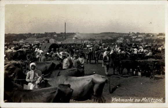 Foto Ak Melitopol Ukraine, Viehmarkt