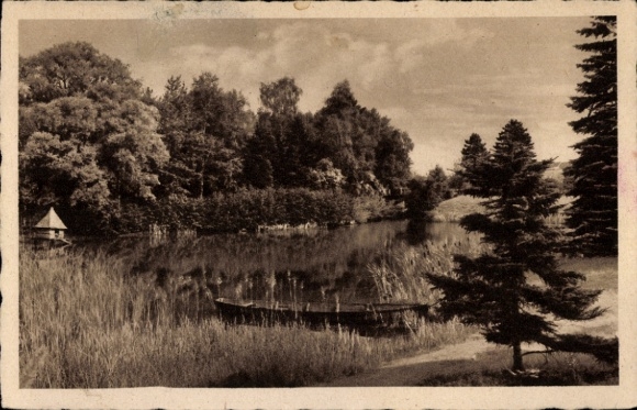 Postcard Berlin Dahlem Zehlendorf, pond with reeds, coniferous wood