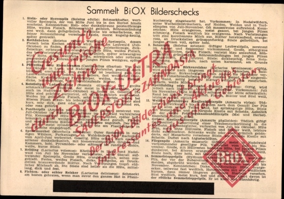 Timetable BIOX-Ultra Oxygen Toothpaste, Poisonous and Edible Mushrooms around 1960