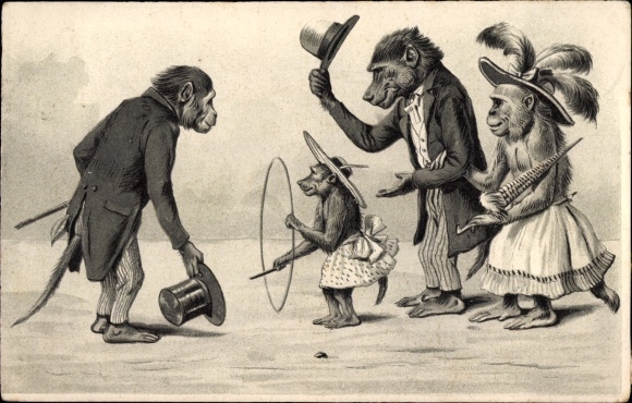 Emboss Postcard humanized monkeys, suit, dress, hoops, hats