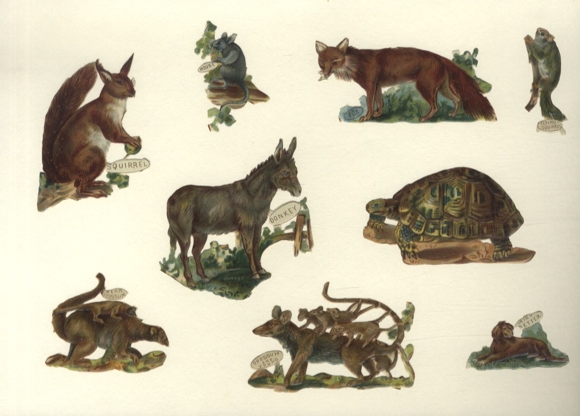 9 wafers wild animals, squirrel, fox, mouse, opossum, turtle, approx. 8.5 x 8.5 to 3 x 5.5 cm