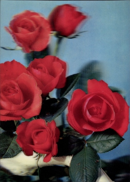 3D Postcard Red roses, blossoms