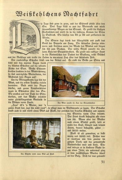 The red one from Ellert (Hans vd Nordmark) collecting picture album Kölln Mühlenwerke, Elmshorn 1934