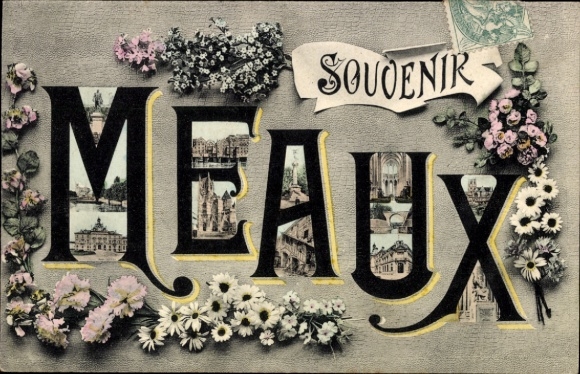 Ak Meaux Seine-et-Marne, Souvenirs, Fleurs, Église, Mairie