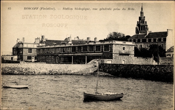 PC Roscoff Finistère, Biological Station, general view from the pier