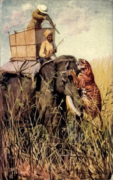 Artist Postcard Fischer, Tiger Hunting