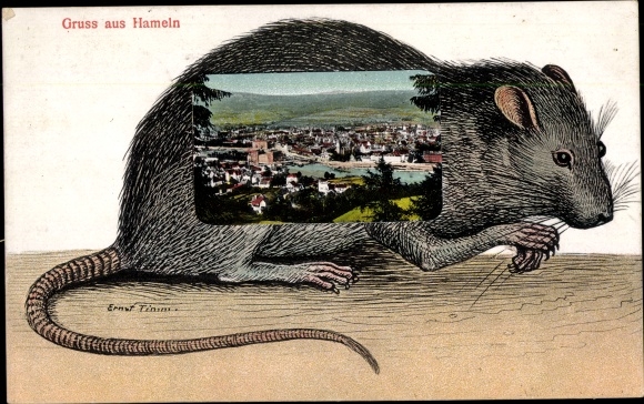 Artist Postcard Timm, E., Hameln an der Weser Lower Saxony, general view, rat