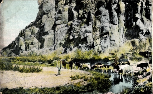 Ak Vogelkranz Anicha Nigeria, drinkplaats, Duits Zuidwest-Afrika, koeherder