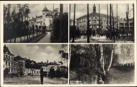 Ak Gommern im Jerichower Land, Sanatorium Vogelsang, Straßenansicht, Garten, Birkenhain, Uferpartie