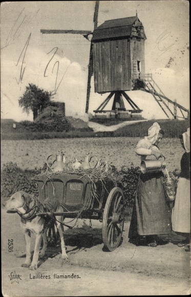 Postcard Flemish Dairywomen, Dog Carts, Windmill