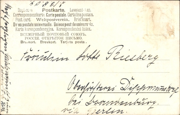 Artist Postcard Müller, M. Roaring Deer