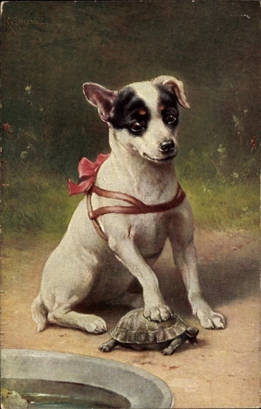 Künstler Ak Hund und Schildkröte