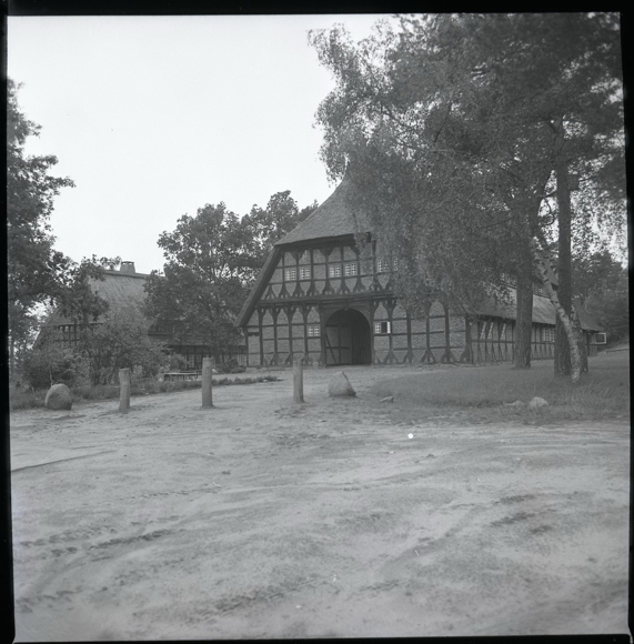 8 celluloid negatives Dauelsen Verden on the Aller, forest, cemetery, economy