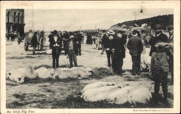 Postcard Ireland, cattle market, pig market