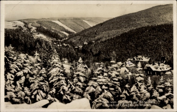 Ak Kipsdorf Altenberg im Erzgebirge, Winterlandschaft, Blick auf Barenfels, Schneebedeckte Bäume,