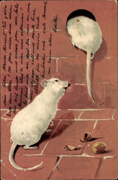 Präge Litho Zwei weiße Ratten, Mäuse, Mauseloch