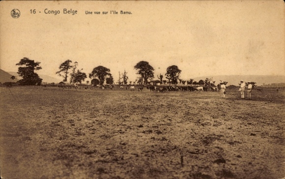 Ak Congo Belge DR Kongo Zaire, Une vue sur l'Ile Bamu
