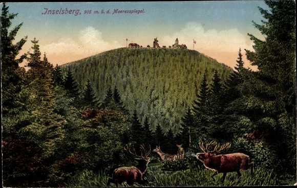 Postcard Brotterode in Thuringia, Inselsberg, deer
