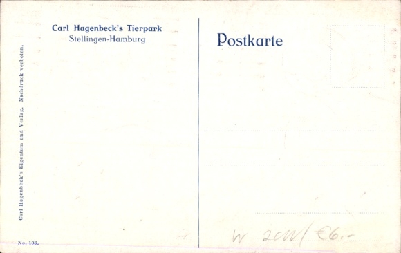 Postcard Hamburg Eimsbüttel Stellingen, Carl Hagenbeck's Zoo, polar bears, seals, moose