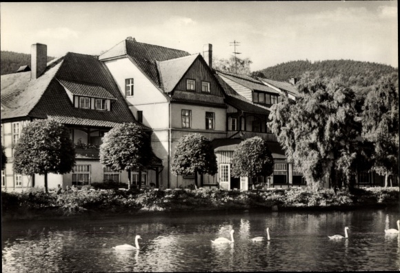 Postcard Ilsenburg am Nordharz, at the trout pond with swans
