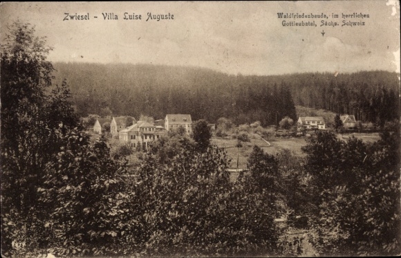 Ak Zwiesel im Bayerischen Wald, Villa Luise Auguste