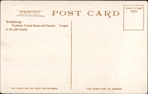 Postcard New York City USA, Muscular Lung, Aquarium, Pike