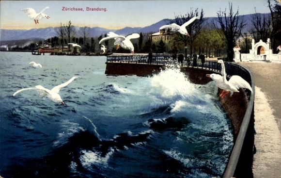 Postcard Lake Zurich, surf, seagulls