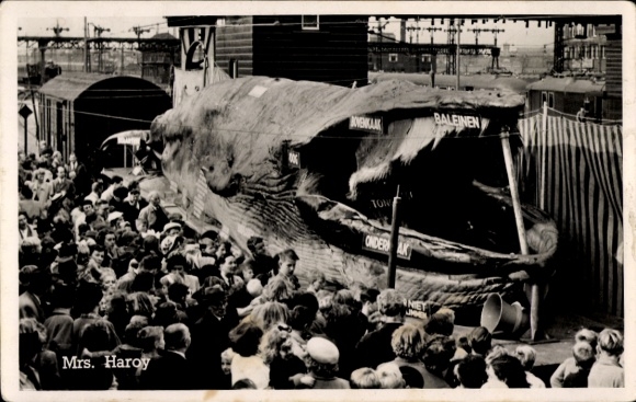 Photo Postcard Dead baleen whale exhibited, blue whale, crowd, Mrs. Haroy