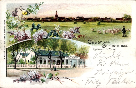 Chromo-Litho Schönerlinde Wandlitz in the Barnim district, Restaurant H. Wichert, flock of sheep with shepherd