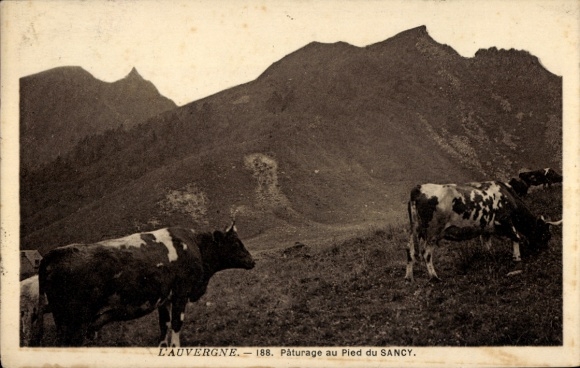 KP Auvergne, pastwisko dla krów u podnóża Sancy