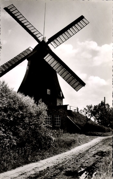 Ak Kollmar an der Niederelbe, Windmühle