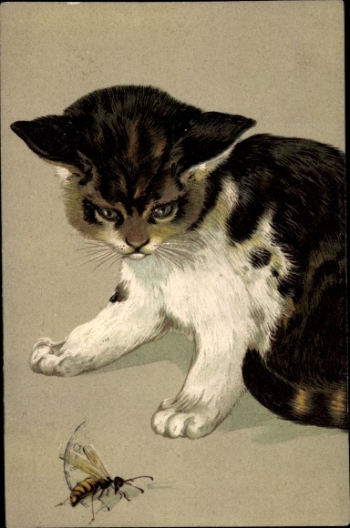 Präge Litho Katze mit Wespe