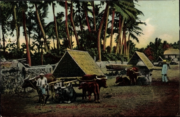 Ak Pampanga Philippinen, Ox Carts