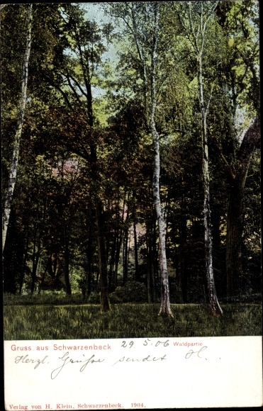 Ansichtkaart Schwarzenbek in Lauenburg, bos