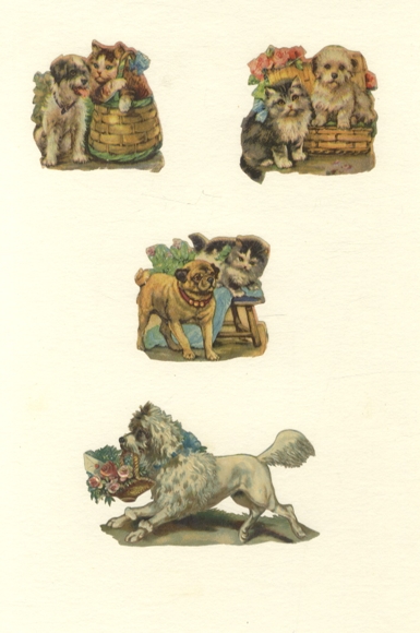 4 wafle dla psów i kotów o wymiarach ok. 6,5 x 10 cm i 5,5 x 5,5 cm