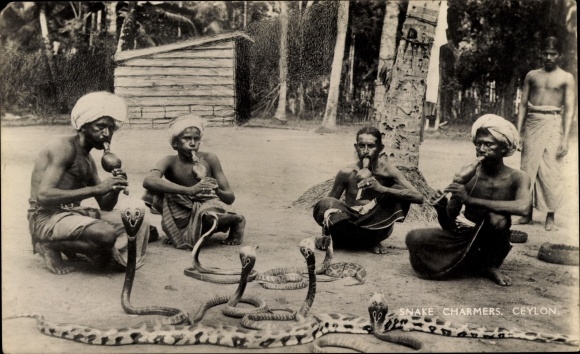 Postcard Ceylon Sri Lanka, Snake Charmers, snake charmers, cobras