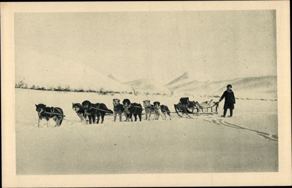 Ansichtkaart Alaska USA, Wagons lits de l'Arctique, hondenslee