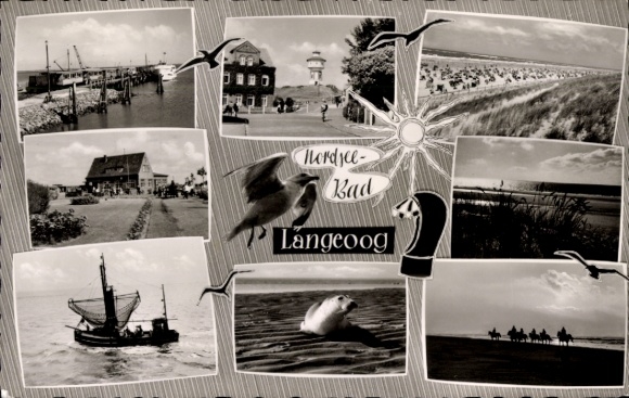 Postcard Nordseebad Langeoog Ostfriesland, partial views, seagulls, seal, rider
